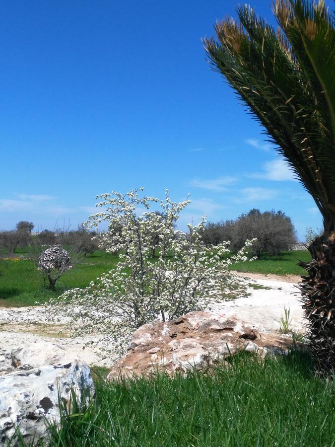 Trulli Pietra Preziosa Hotel Martina Franca Exterior foto